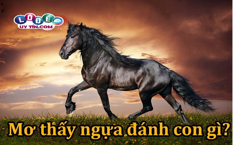 Điềm báo mơ thấy ngựa có ý nghĩa gì? Lý giải chính xác nhất 1 Điềm báo mơ thấy ngựa có ý nghĩa gì? Lý giải chính xác nhất
