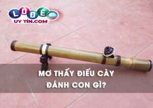 Chiêm bao mơ thấy điếu thuốc lào đánh con gì chuẩn cao thủ?