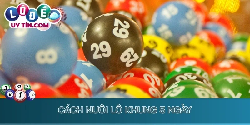 Nuôi Lô Khung 5 Ngày: Chiến Lược Bắt Lô Cực Dễ Ăn Thưởng Lớn 4 Cách nuôi lô khung 5 ngày