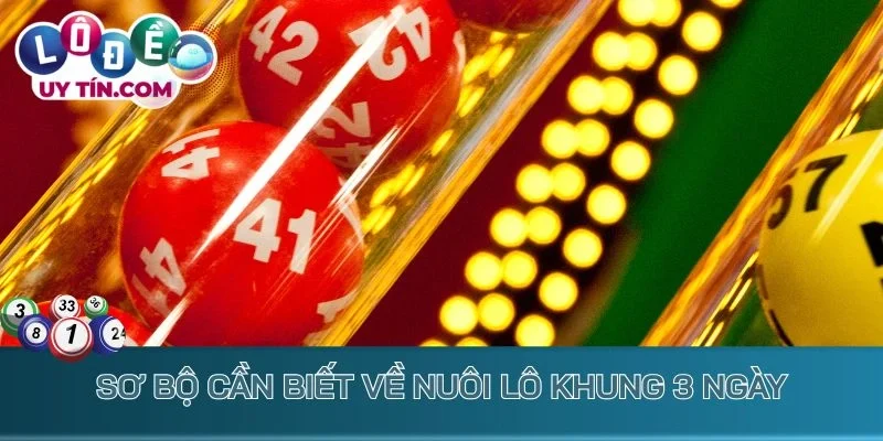 Nuôi Lô Khung 3 Ngày - Mẹo Bắt Lô Đề Thông Thái Từ Cao Thủ 2 Sơ bộ cần biết về nuôi lô khung 3 ngày