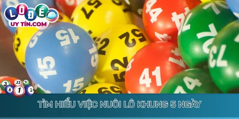 Nuôi Lô Khung 5 Ngày: Chiến Lược Bắt Lô Cực Dễ Ăn Thưởng Lớn 2 Tìm hiểu việc nuôi lô khung 5 ngày