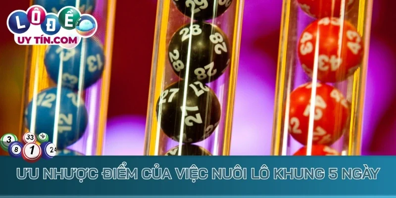 Nuôi Lô Khung 5 Ngày: Chiến Lược Bắt Lô Cực Dễ Ăn Thưởng Lớn 3 Ưu nhược điểm của việc nuôi lô khung 5 ngày